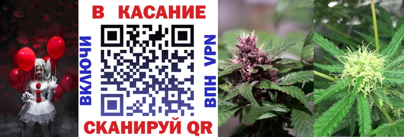 Купить наркотики сайты Мураши кракен зеркало ГАШ Кокаин Альфа ПВП