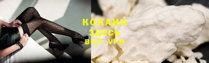 купить   Мураши  Cocaine FishScale 