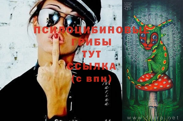 спайс Нефтегорск