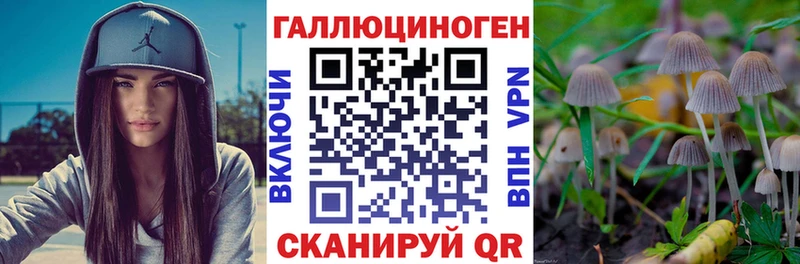 Псилоцибиновые грибы прущие грибы  купить   Мураши 